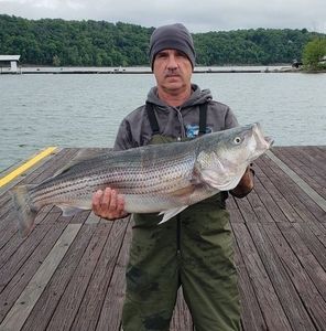 Meet your Posher, Jeff